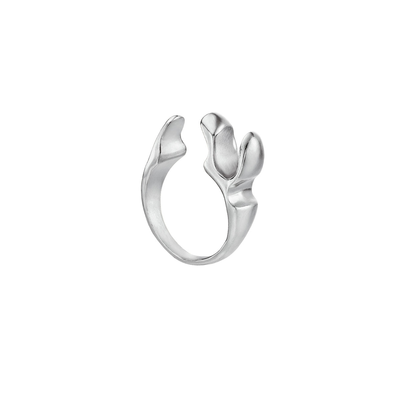 ANIW - Zodania Ring