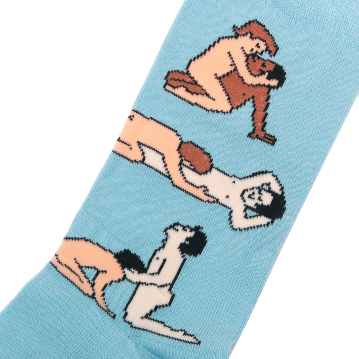 Kamasutra Socks - Gay Boys Lovers