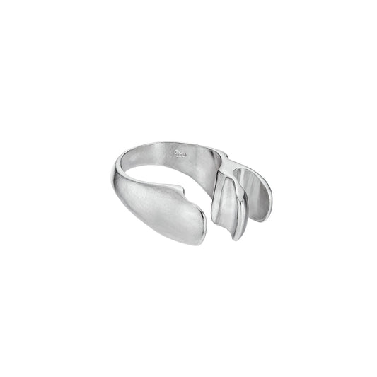 ANIW - Zodania Ring