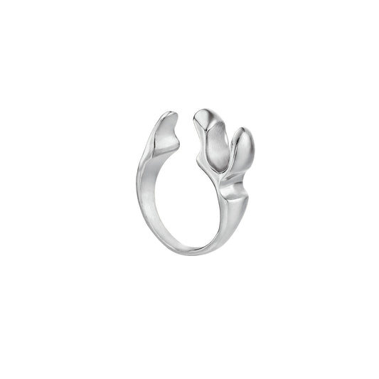 ANIW - Zodania Ring