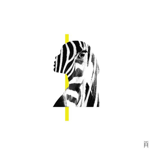 Extravaganza Print | Iamdesigner