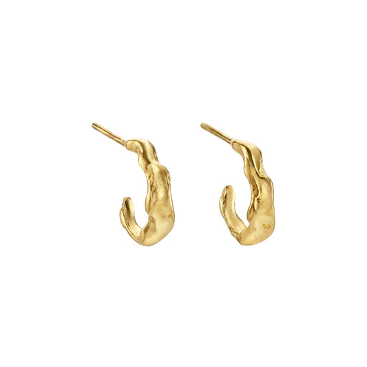 ANIW - Aniso Hoops S