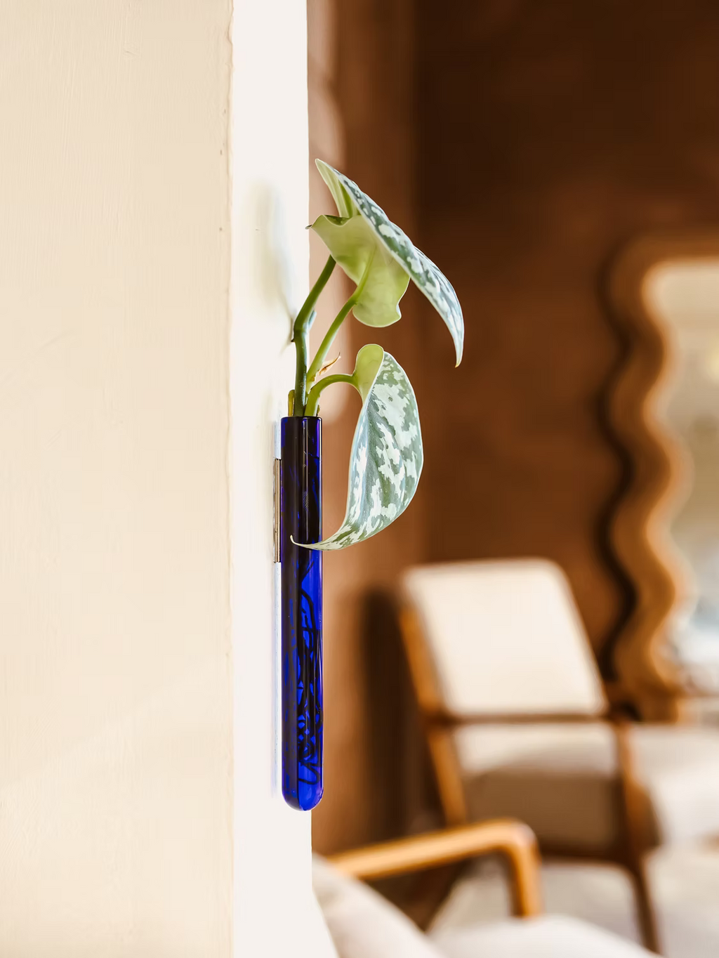 Walleaf (3-pack)