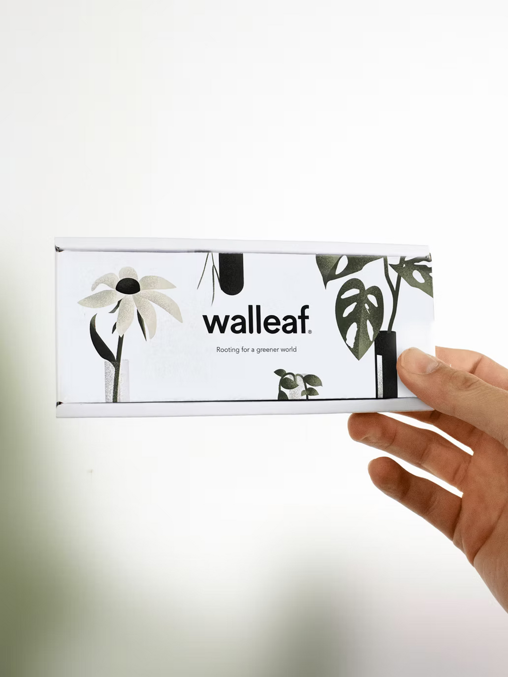 Walleaf Vase (1-pack)