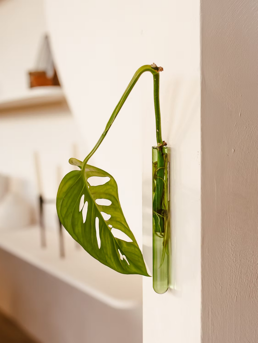 Walleaf Vase (1-pack)