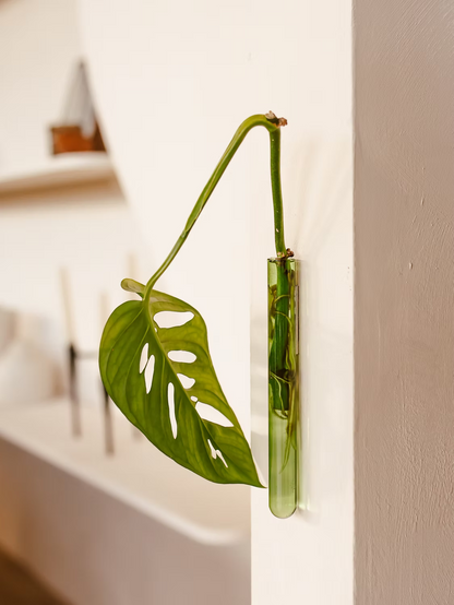 Walleaf Vase (1-pack)