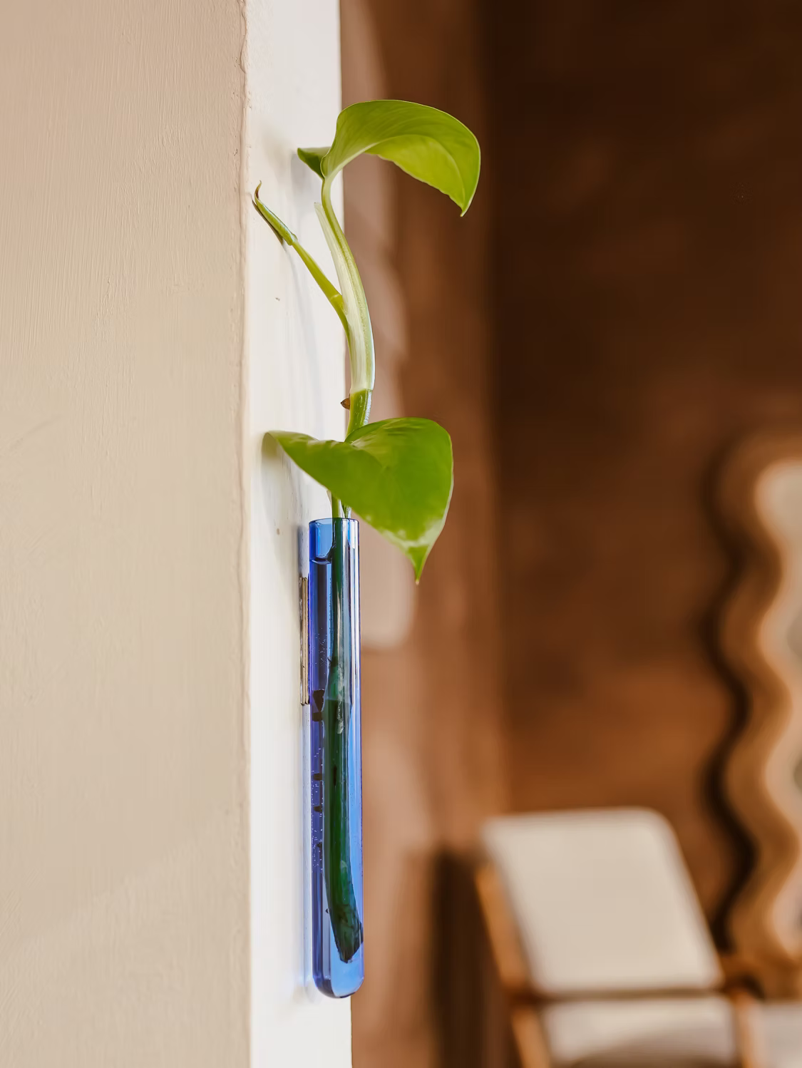 Walleaf Vase (1-pack)