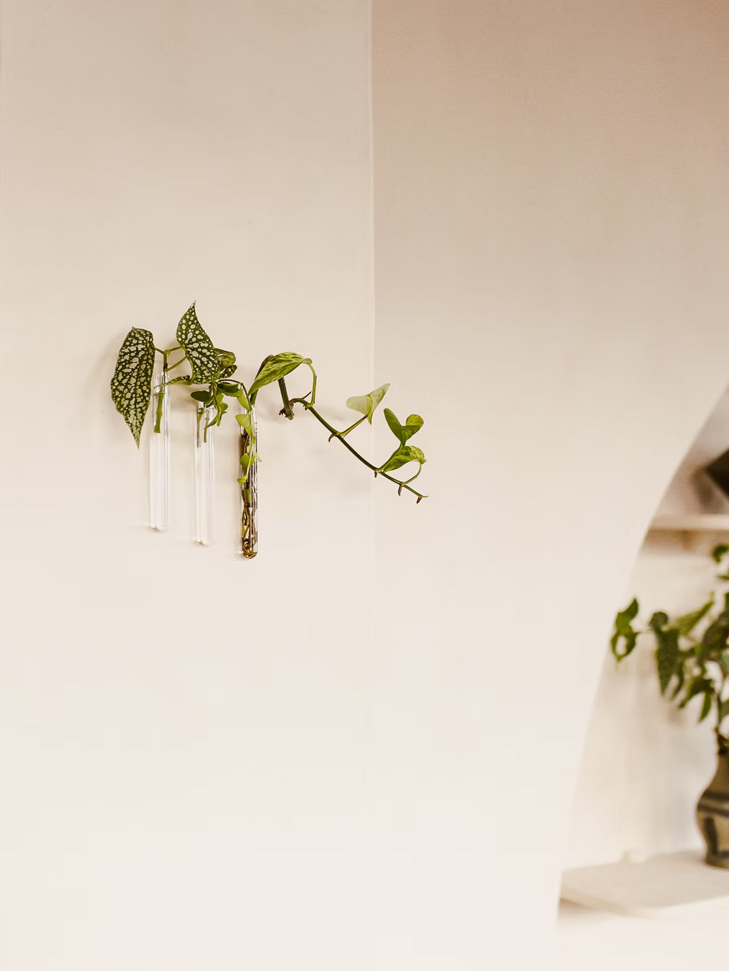 Walleaf (3-pack)