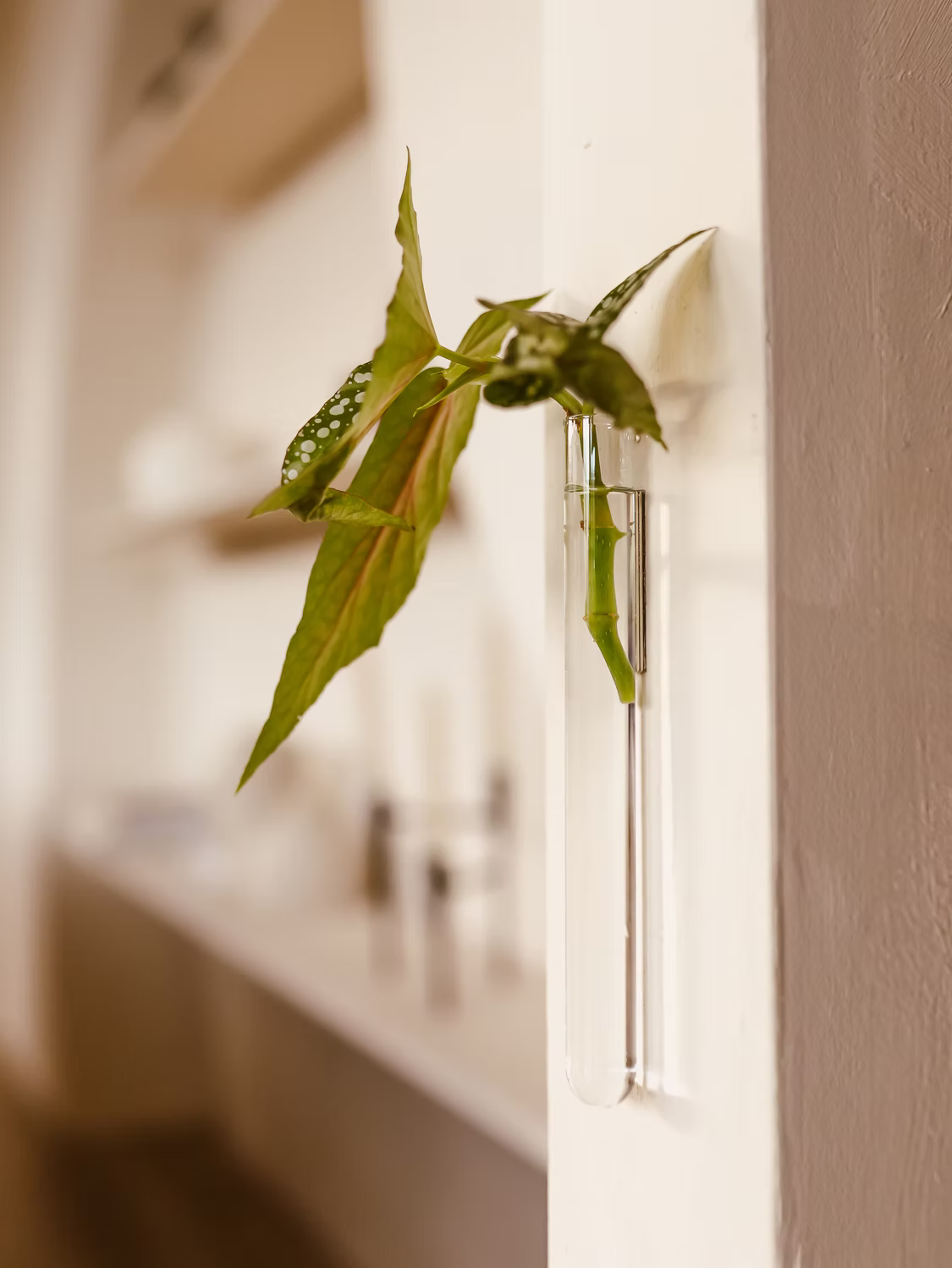 Walleaf Vase (1-pack)