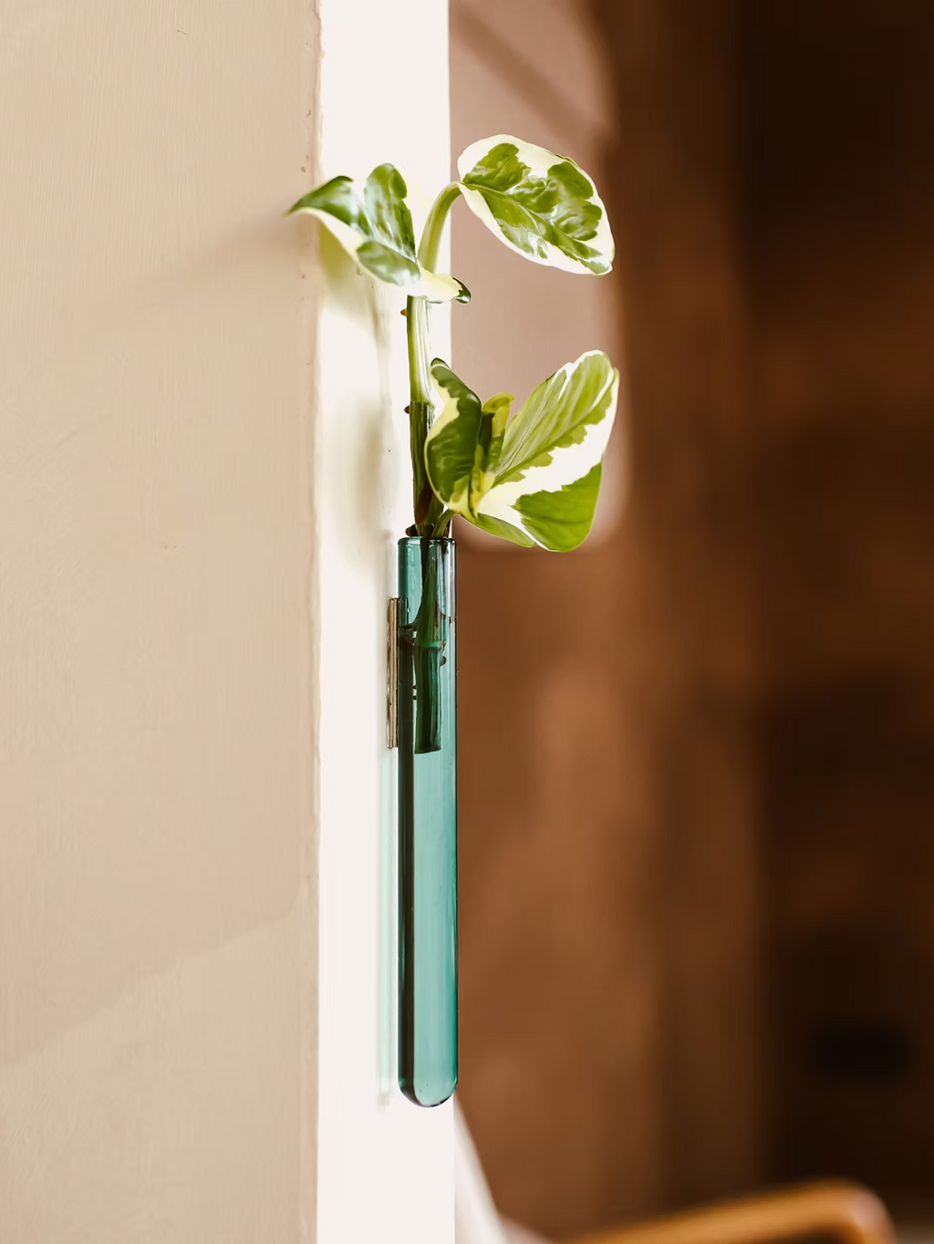 Walleaf Vase (1-pack)