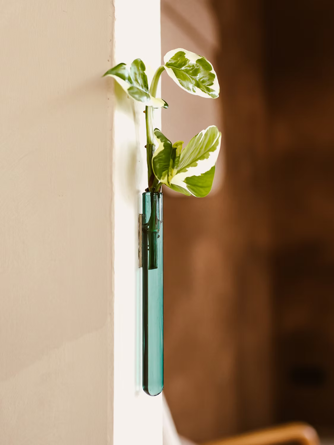 Walleaf Vase (1-pack)