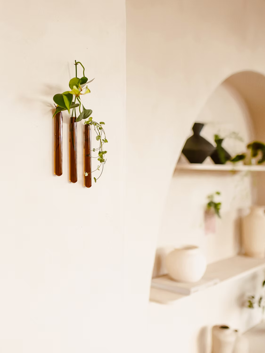 Walleaf (3-pack)
