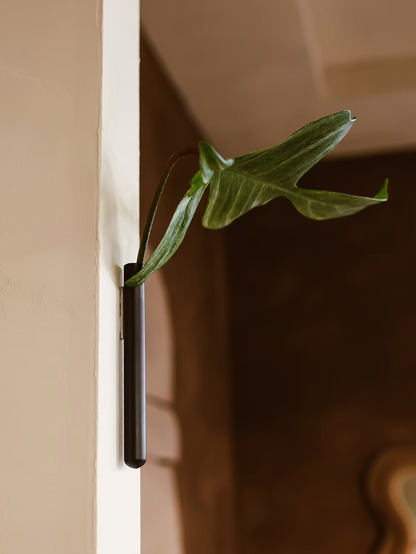 Walleaf Vase (1-pack)