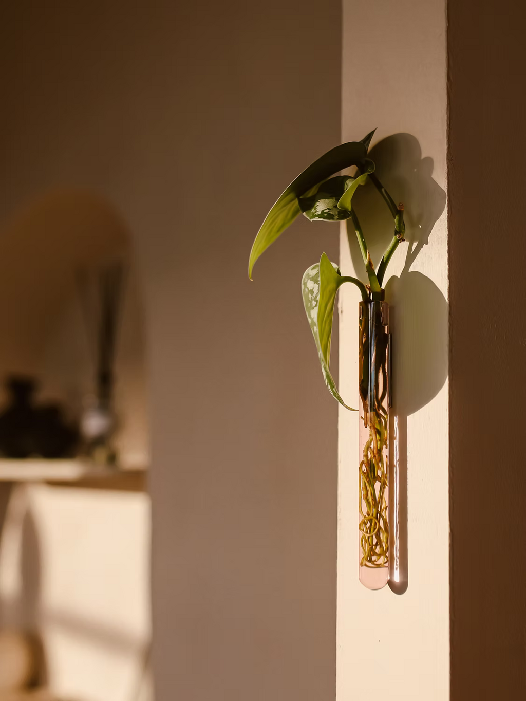 Walleaf Vase (1-pack)