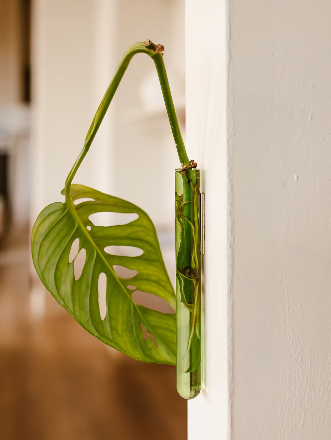 Walleaf Vase (1-pack)