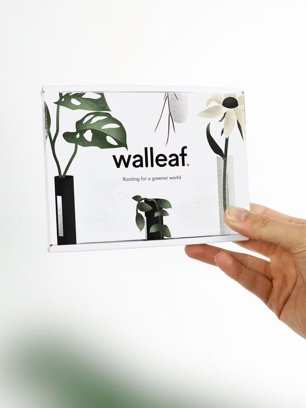 Walleaf (3-pack)