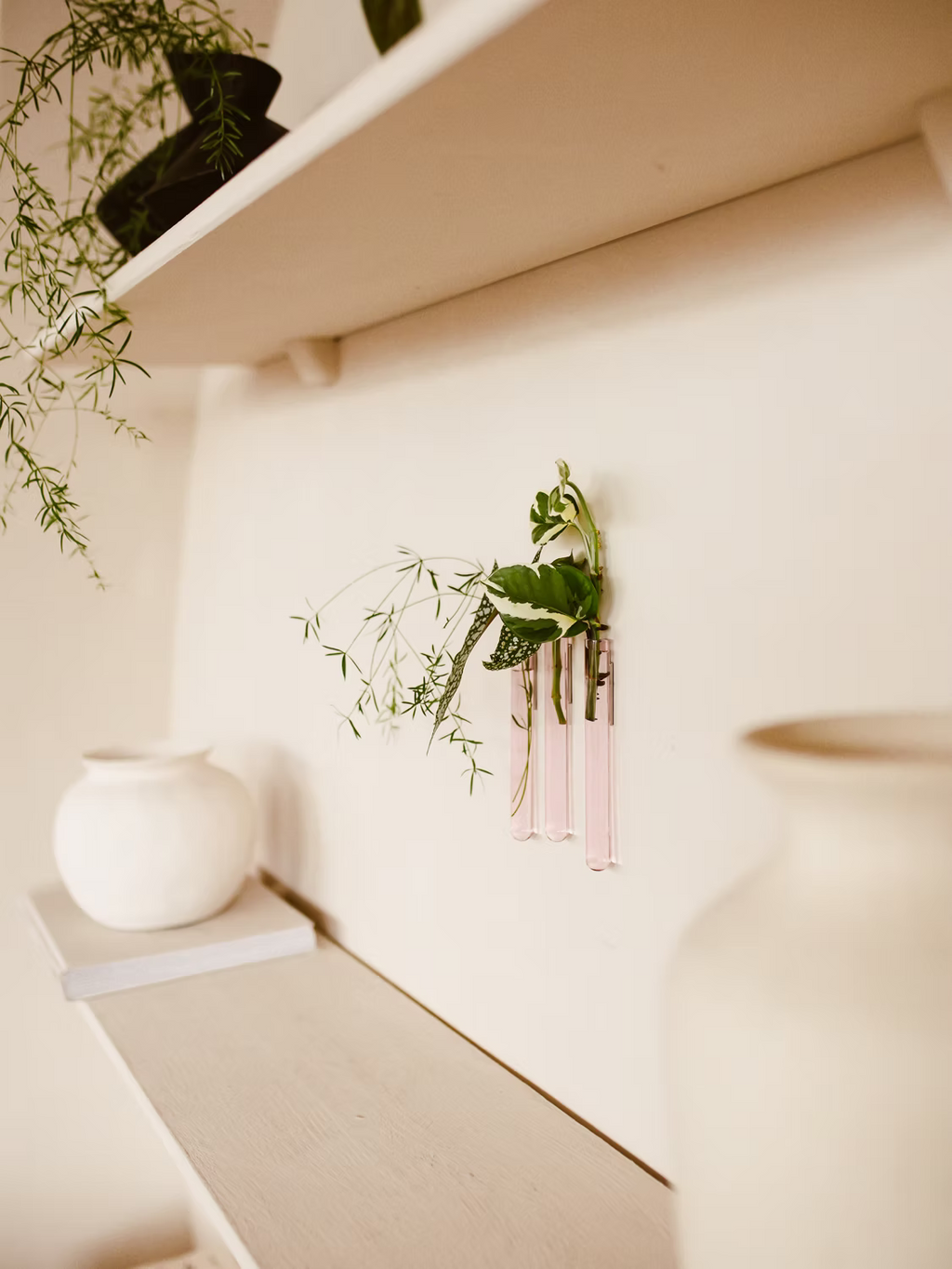 Walleaf (3-pack)