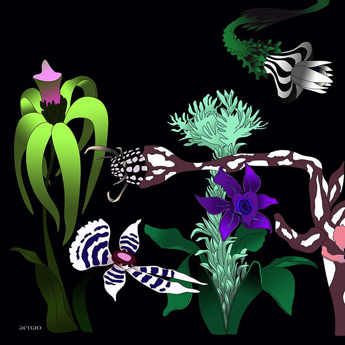 AENAO Silk Scarf | Lily - Black