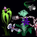 AENAO Silk Scarf | Lily - Black