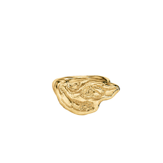 ANIW - Connection Ring