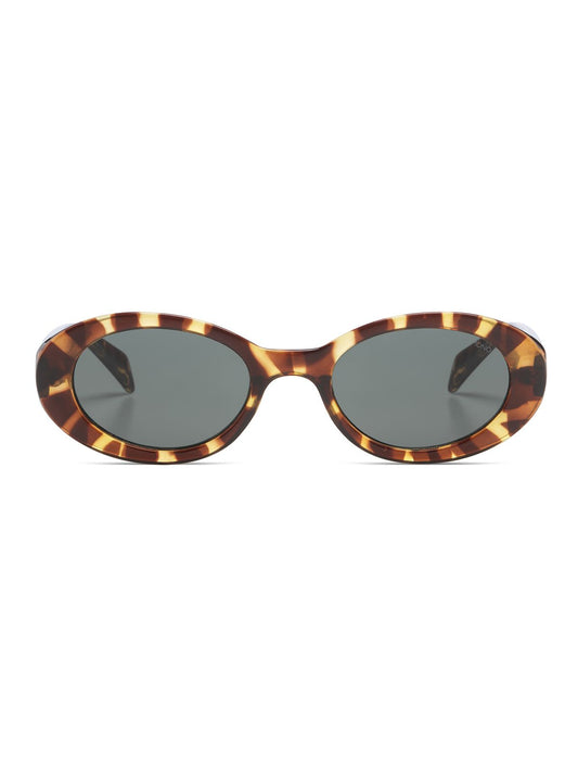 ANA TORTOISE